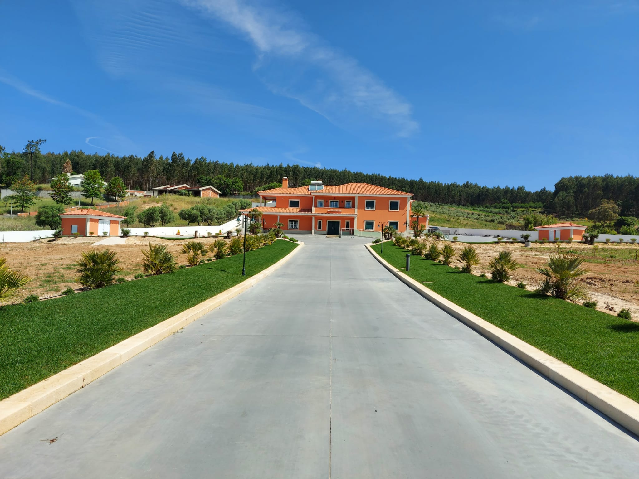 Driveway approaching the property